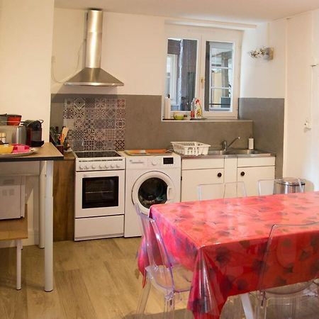 Appartement Le Bain Aux Plantes Strazburg Dış mekan fotoğraf