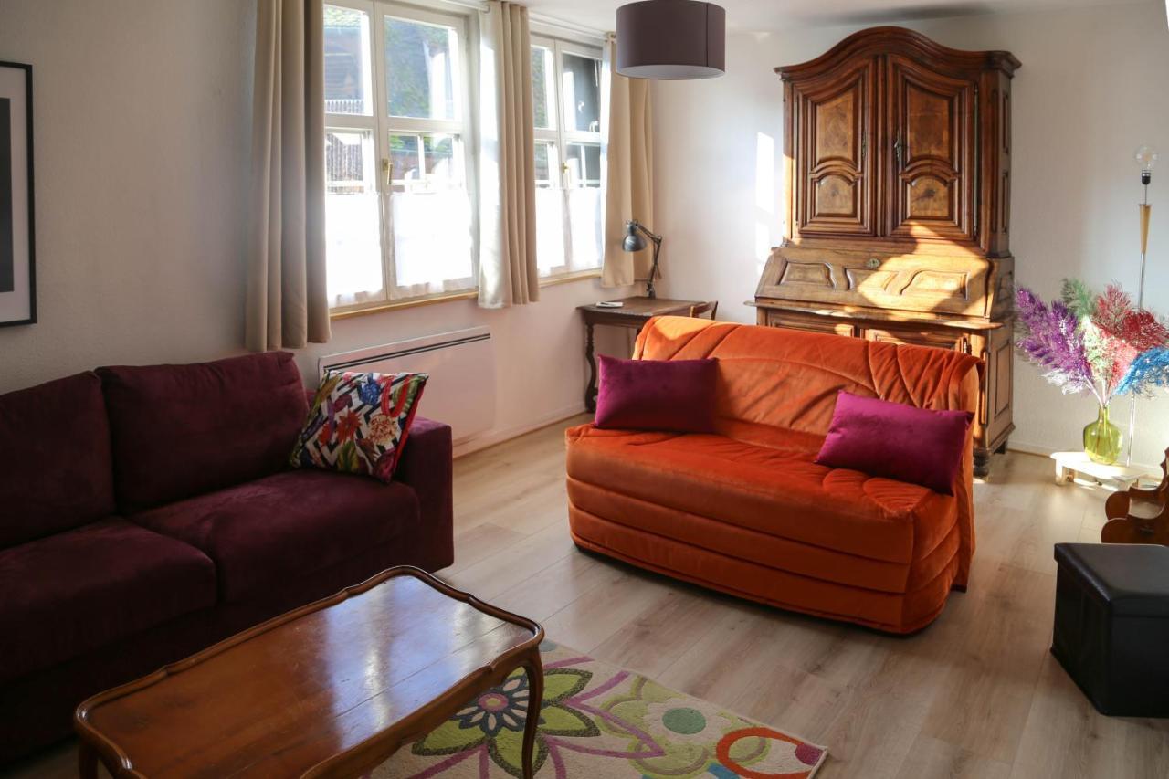 Appartement Le Bain Aux Plantes Strazburg Dış mekan fotoğraf