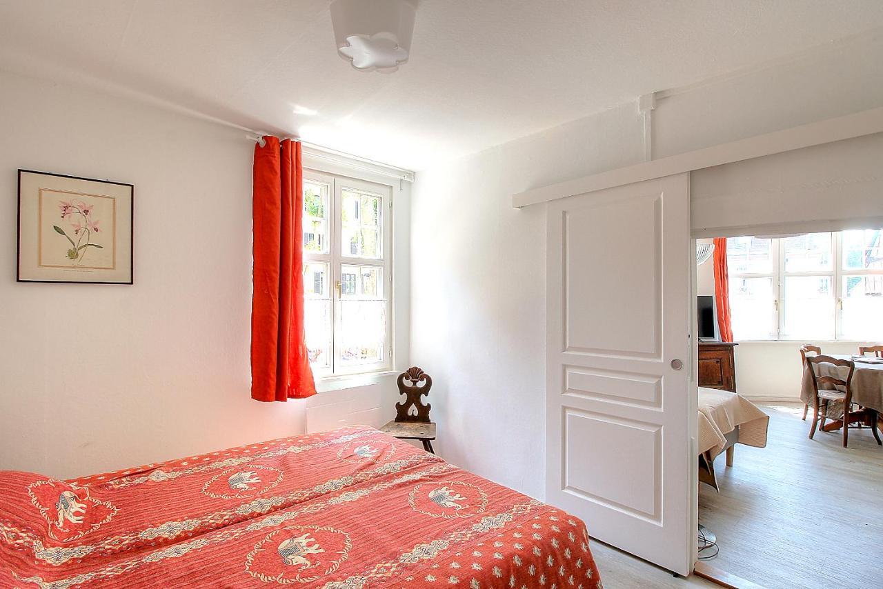 Appartement Le Bain Aux Plantes Strazburg Dış mekan fotoğraf